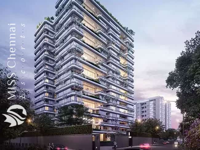 Independent Escorts Thousand Lights