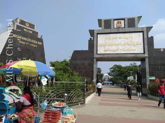 call girl escort service in Vandalur